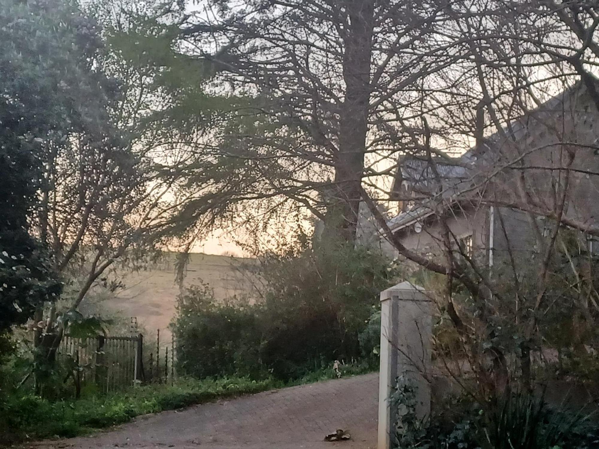 Little Fields Country House And Cottages Howick Esterno foto