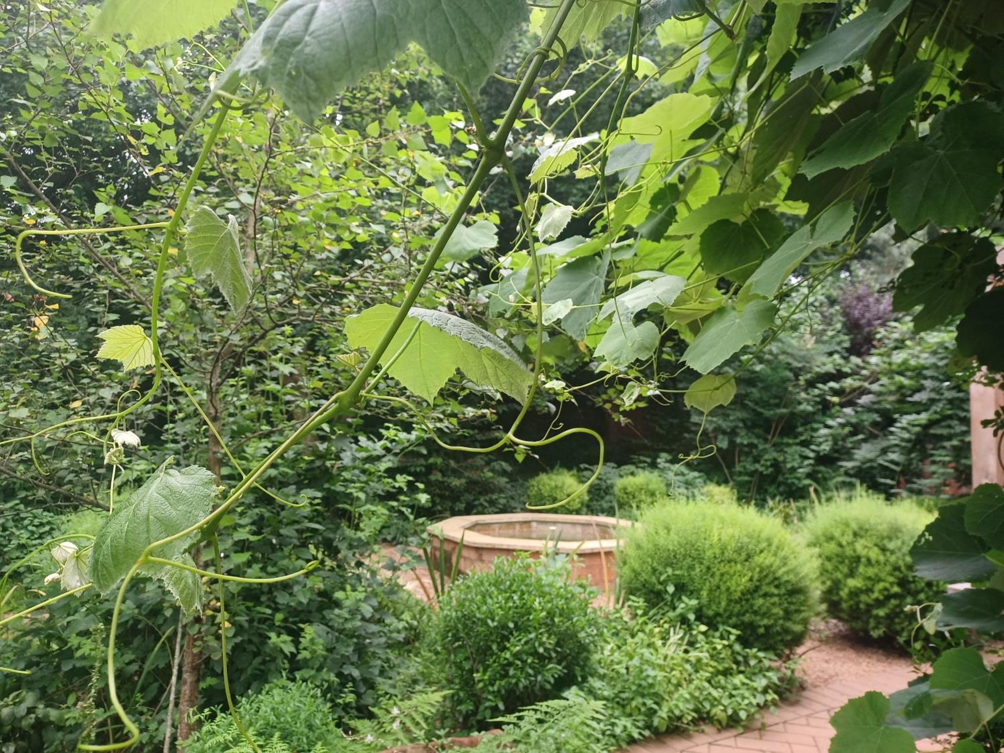 Little Fields Country House And Cottages Howick Esterno foto
