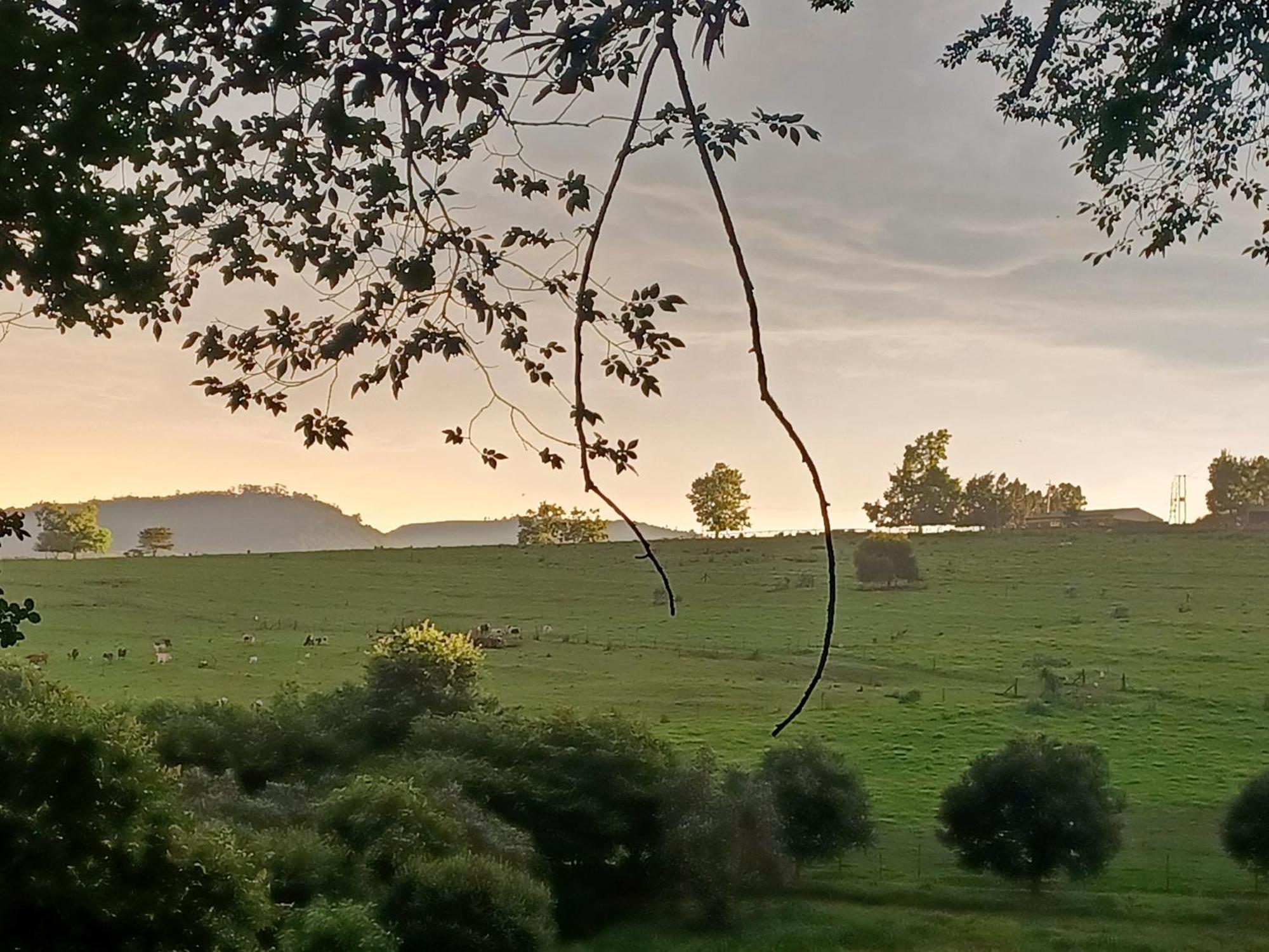 Little Fields Country House And Cottages Howick Esterno foto